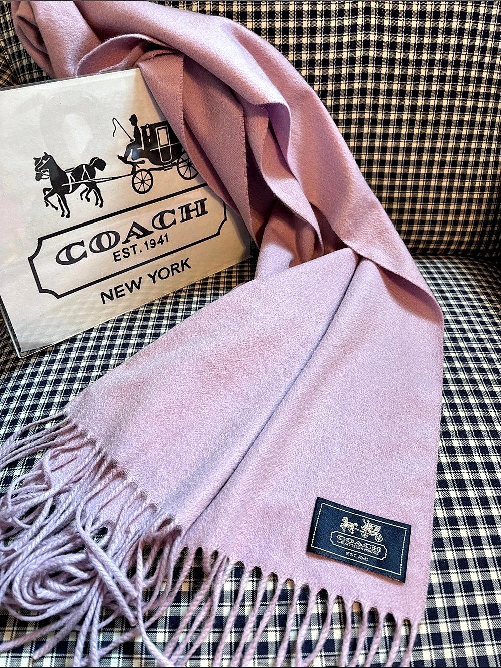 Coach Cashmere Fringe Scarf in lavender